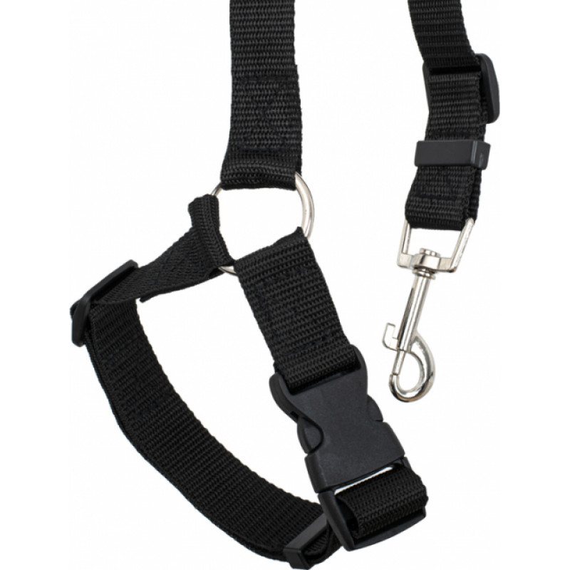 Car seat belt leash for dog cat