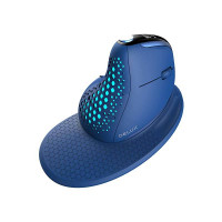 Bezvadu ergonomiskā pele Delux M618XSD BT+2.4G RGB (zila)