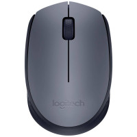 Logitech M170 optiskā,datorpele (910-004642)