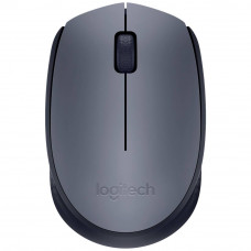 Logitech M170 optiskā,datorpele (910-004642)